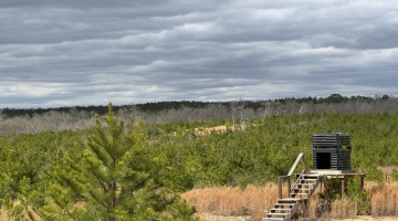 10831 Highway 9, Alabama, 0 , 0 ,0,Land,For Sale,10831 Highway 9,0,1237