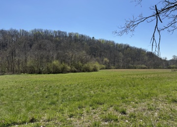 Address not available!, ,Land,For Sale,marble quarry Road,1241