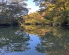 Cahaba River Land For Sale