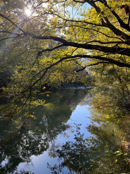 Cahaba River Land For Sale