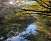 Cahaba River Land For Sale