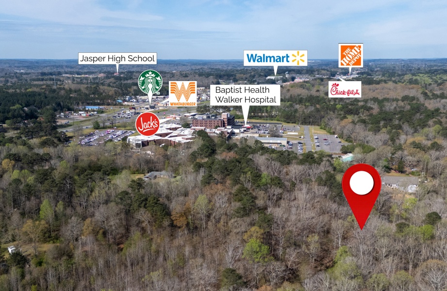 358 Blackwell Dairy Road Jasper, Alabama 35504, 0 , 0 ,0,Land,For Sale,Blackwell Dairy Road,0,1302