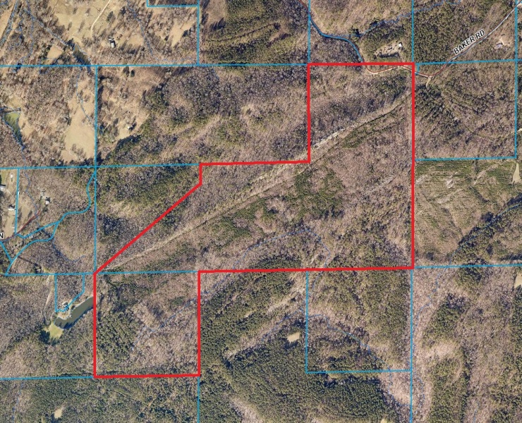 Land For Sale 171± AC Odenville, AL 