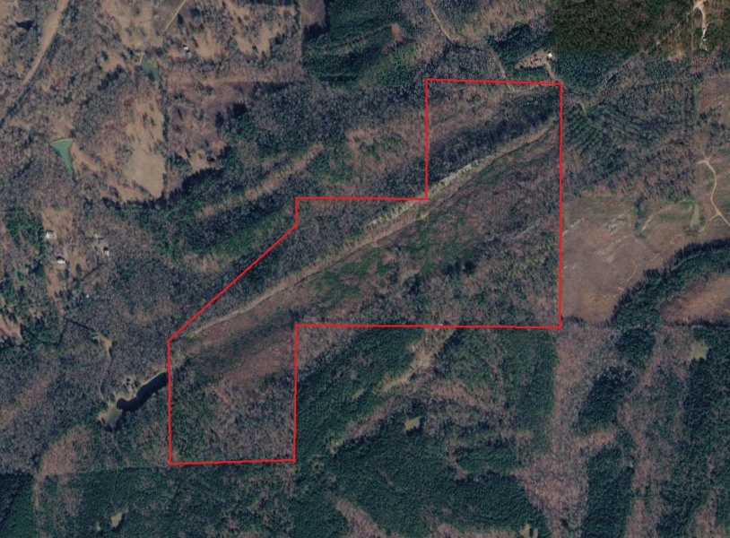 Land For Sale 171± AC Odenville, AL 